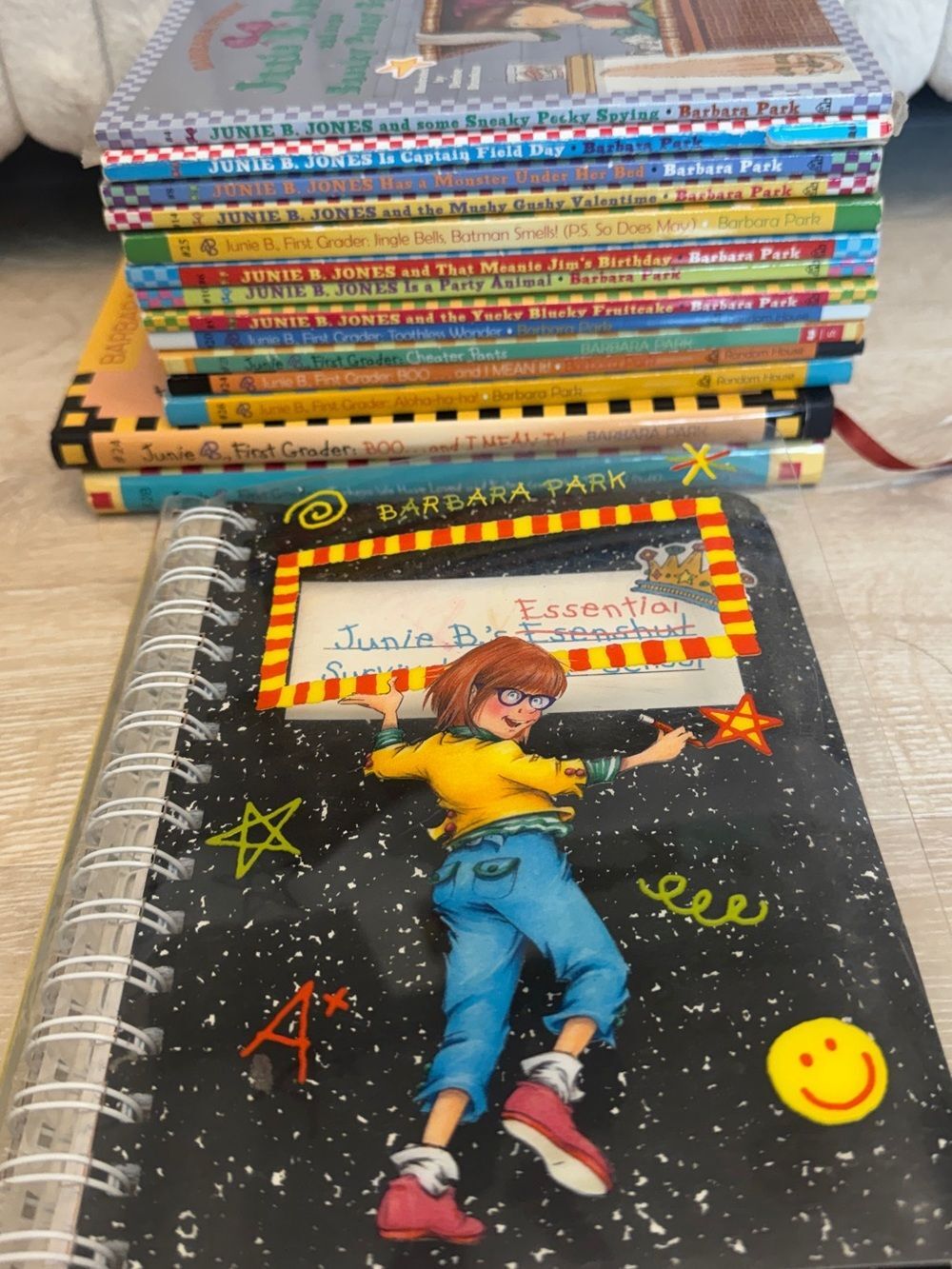 Junie B Jones Chapter Book Lot Elementary Child Read Novels Fiction School Story